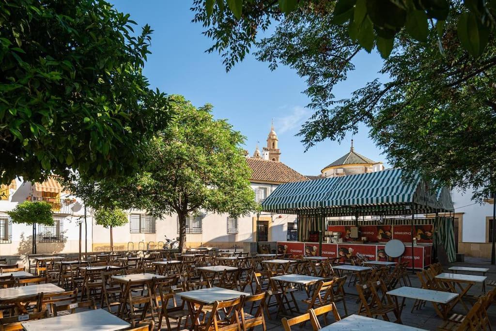 Apartment Premium - Arcos De Medina 101 *