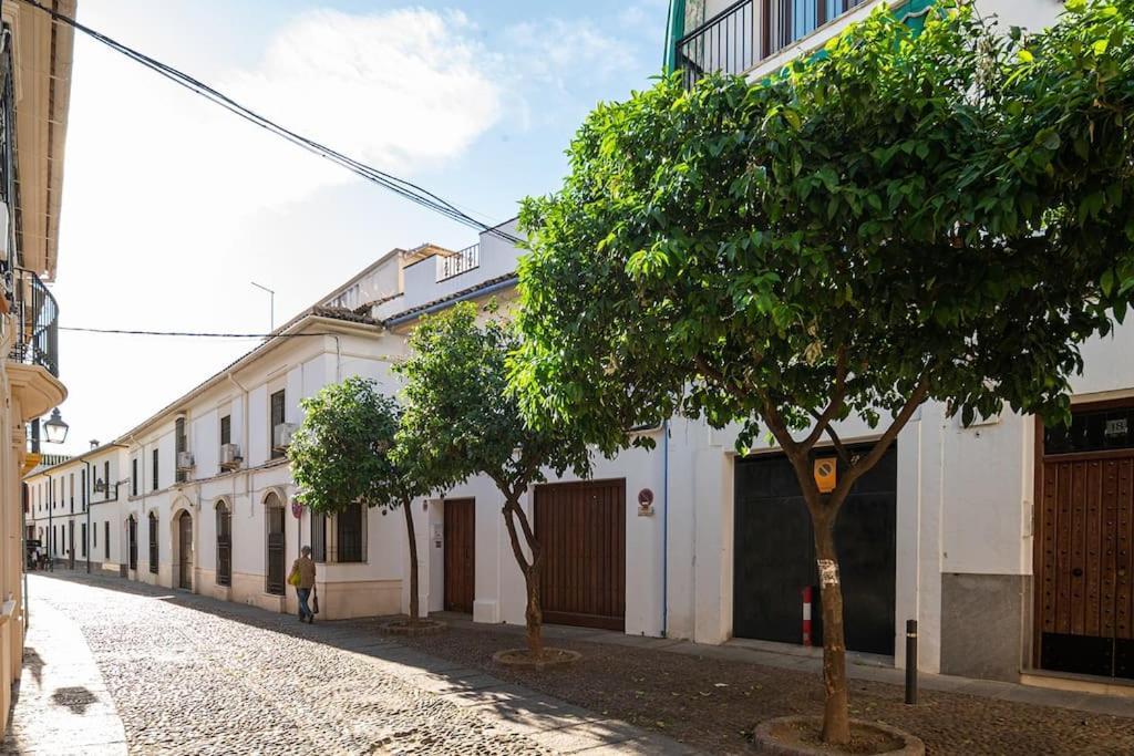 Premium - Arcos De Medina 101 Cordoba