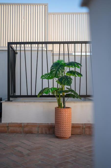 Apartment Premium - Arcos De Medina 101 Cordoba