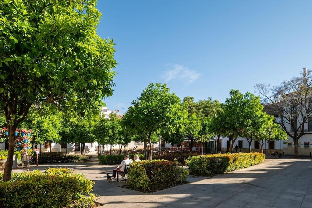 Apartment Premium - Arcos De Medina 101