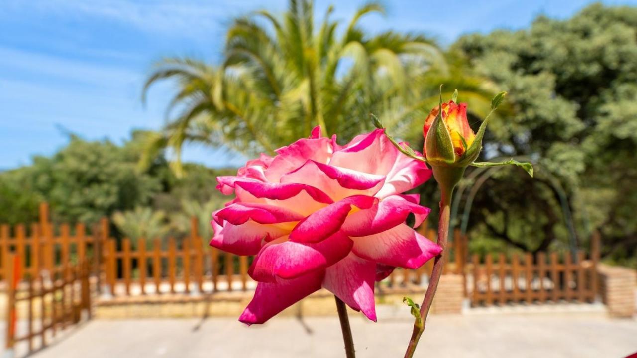 Brisas Del Palmeral Cerro Muriano By Ruralidays Сasa de vacaciones Córdoba