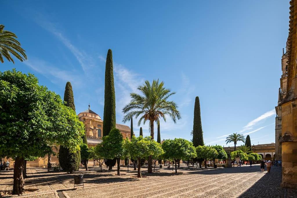 Premium - Arcos De Medina 101 Apartment