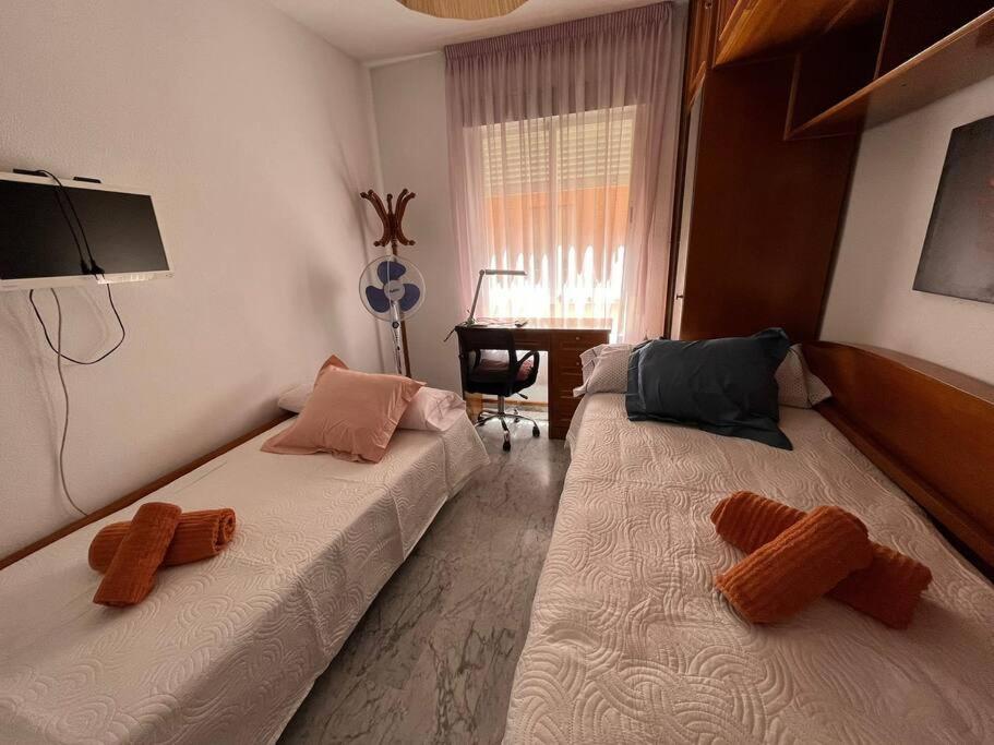 Medina Azahara Apartamento Córdoba
