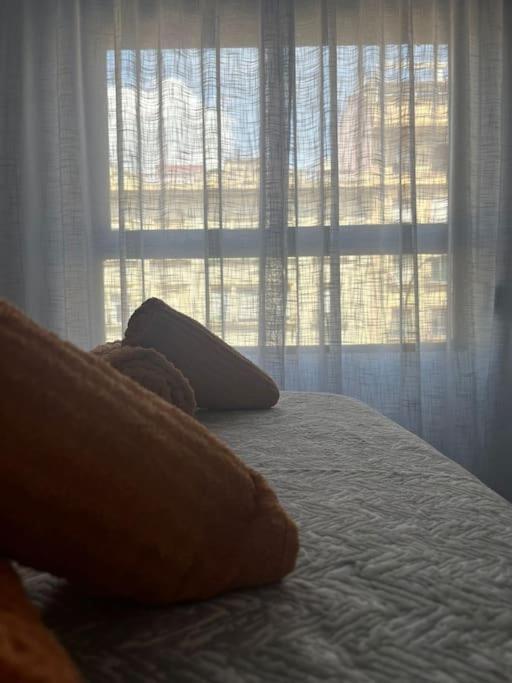 Apartamento Medina Azahara Córdoba
