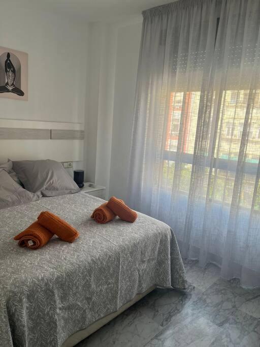 Medina Azahara Apartamento *