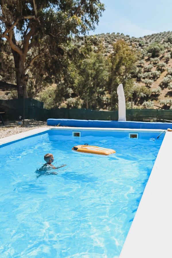Apartamento Experience Alpacas In Andalucia