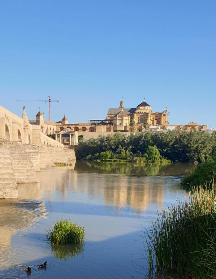 Loft Ribera De Córdoba