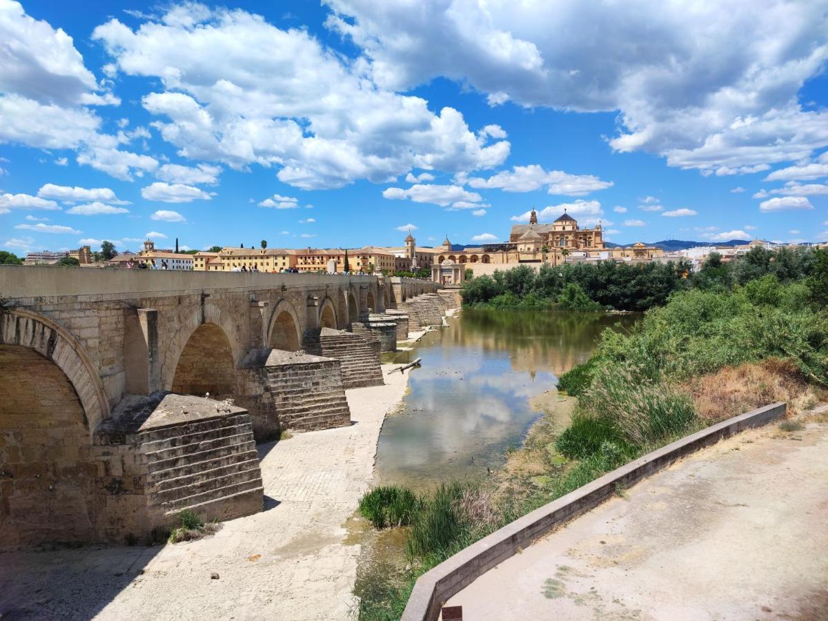 Apartment Alcazar San Basilio