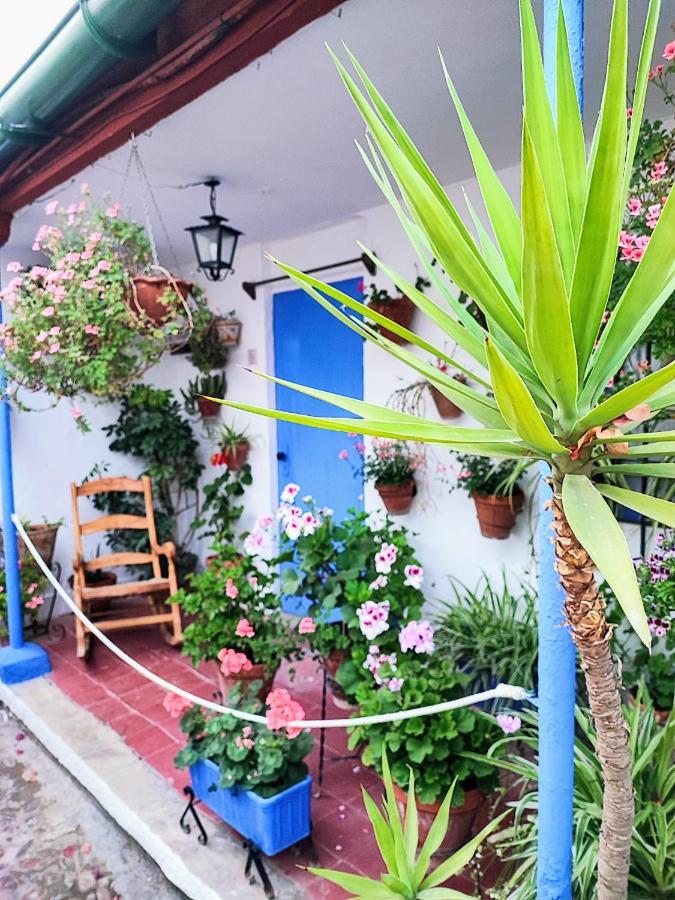 Apartment Alcazar San Basilio *
