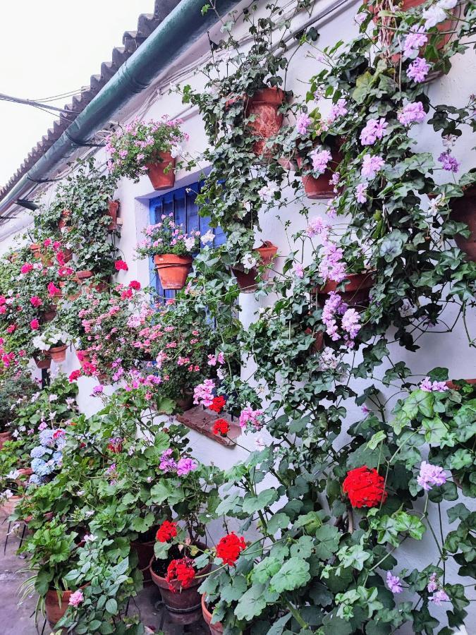 Apartment Alcazar San Basilio