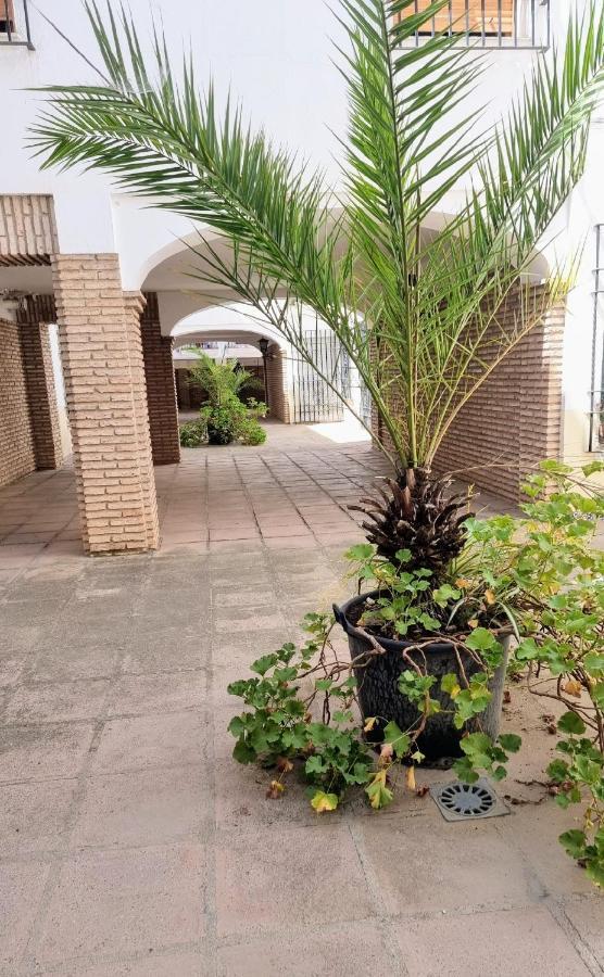Apartment Alcazar San Basilio *