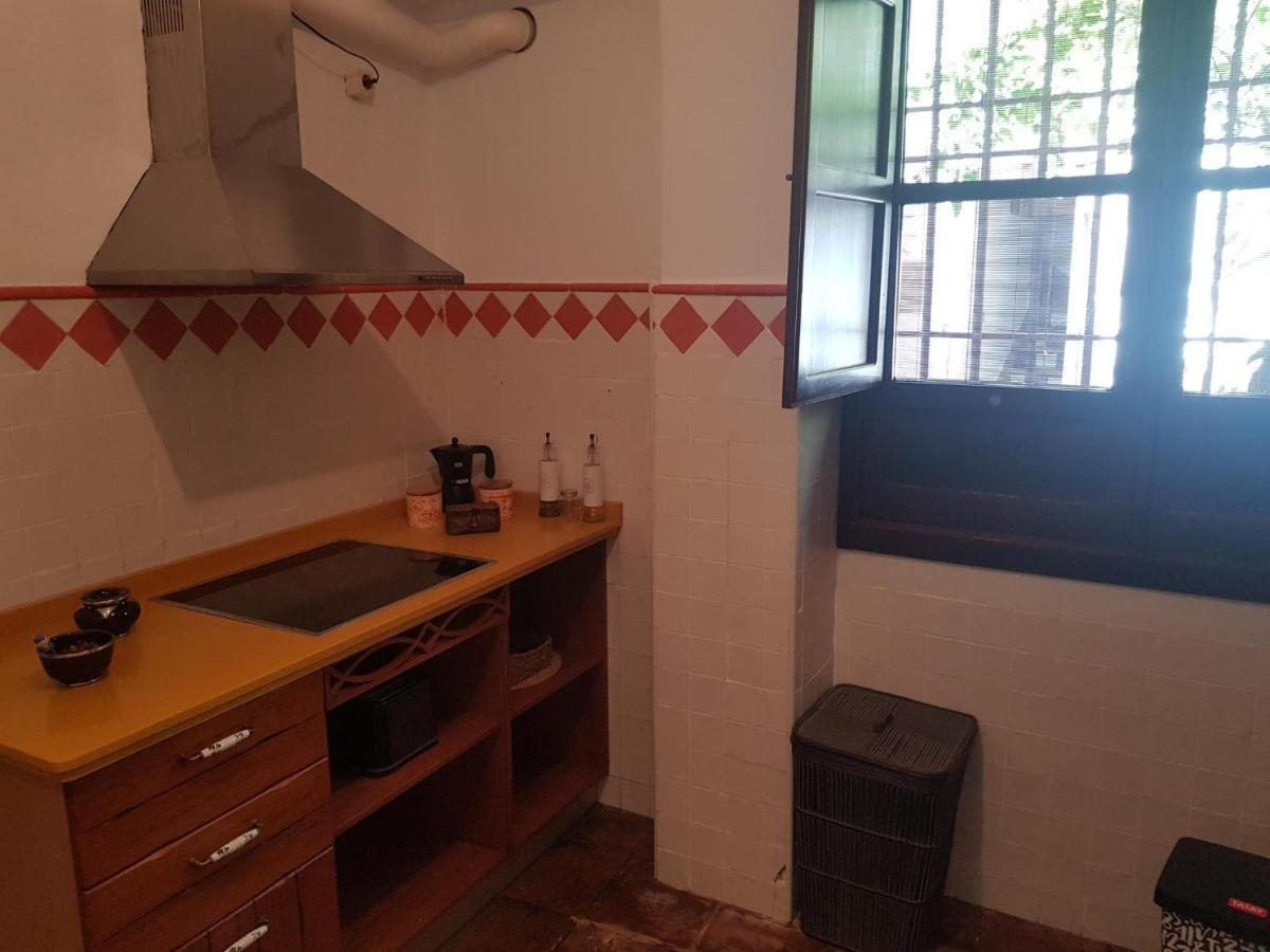 Apartamento Casa Patio Suenos De Daury I
