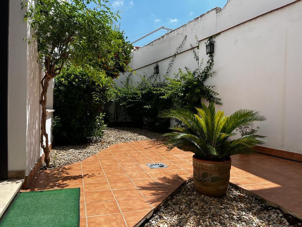 Apartment Acogedor Junto A Plaza De San Agustin