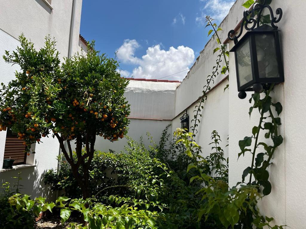 Acogedor Junto A Plaza De San Agustin
