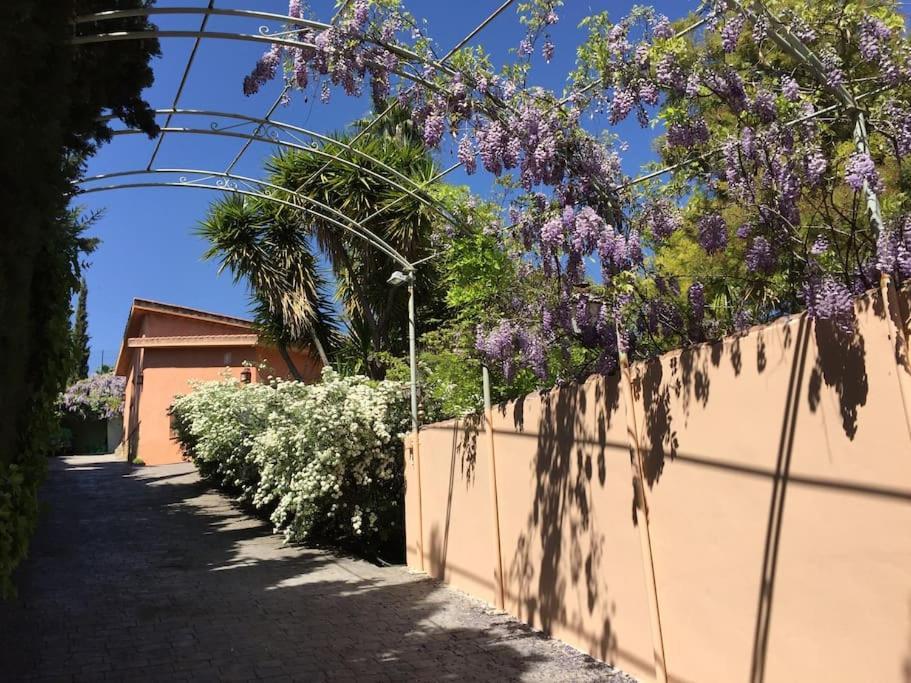 La Casita De Teresa