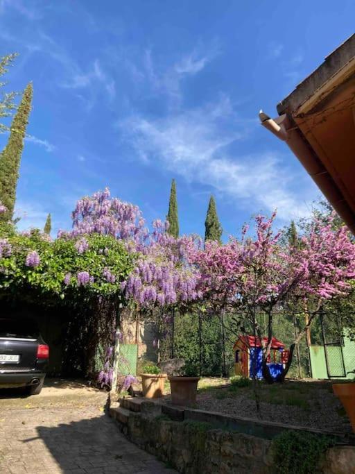 La Casita De Teresa