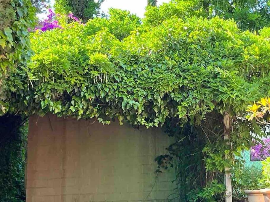 La Casita De Teresa Сasa de vacaciones