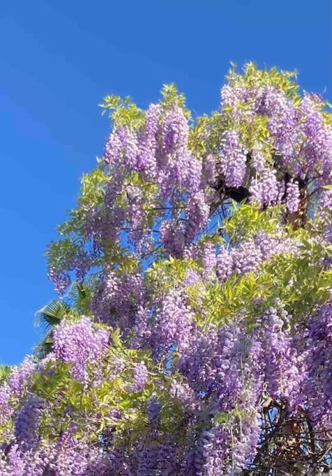 Сasa de vacaciones La Casita De Teresa Córdoba