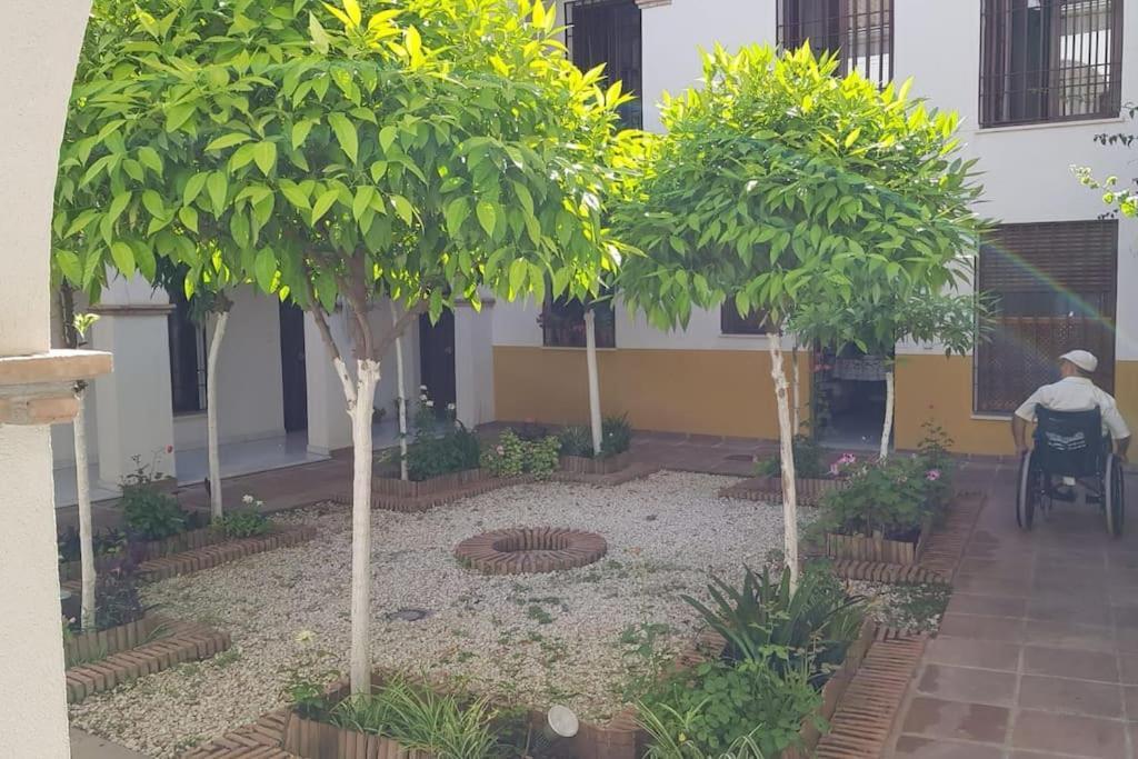 Precioso Junto A Plaza La Corredera Apartment