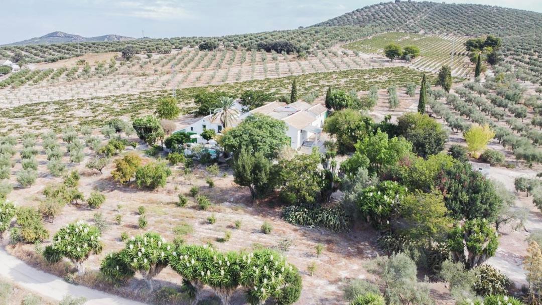 Cortijo Don Simón Сasa de vacaciones *
