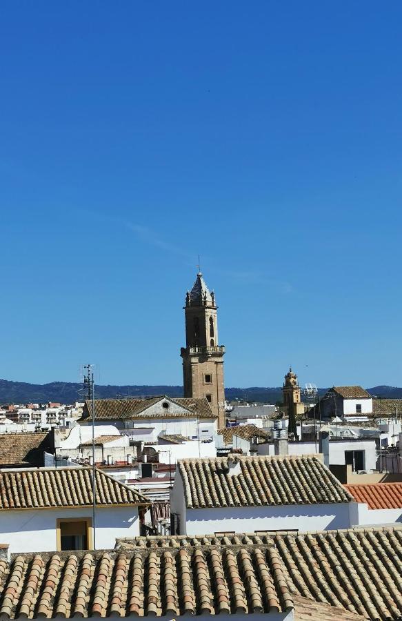 Bella Sultana * Cordoba