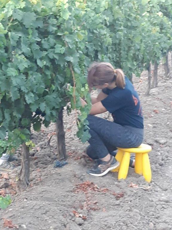 Сasa de vacaciones Cortijo Don Simón *