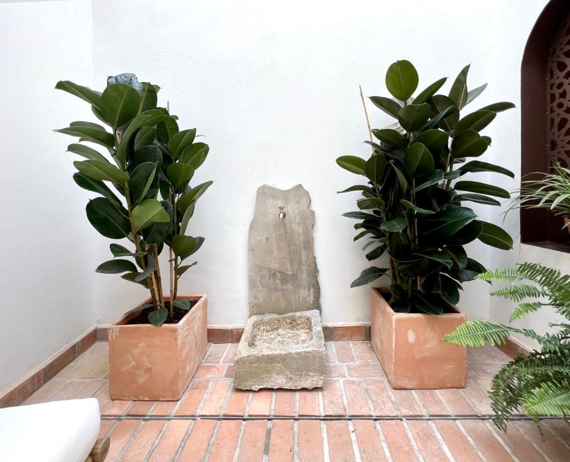 Arcos De Medina - Premium Apartahotel *