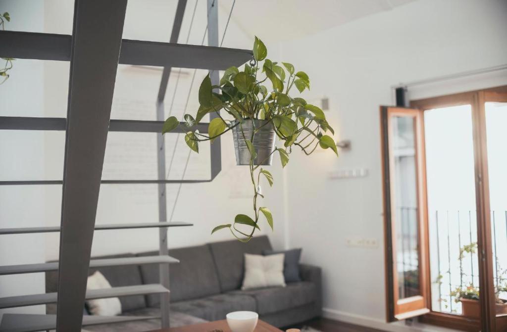 Apartamento Trigo Homes Córdoba