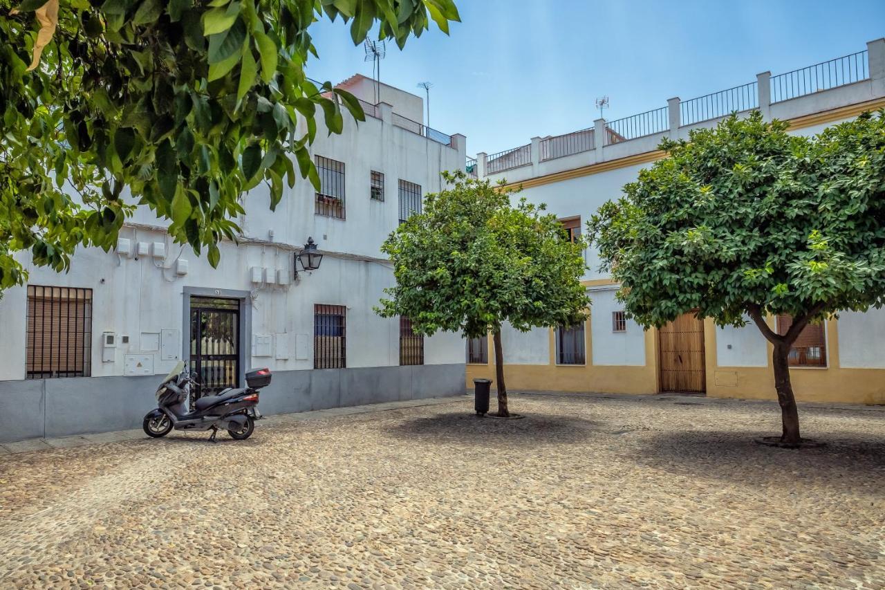 Apartamento Apartamento Plaza De Tazas- Parking Privado Córdoba