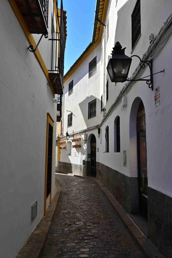 Aljara Mezquita *