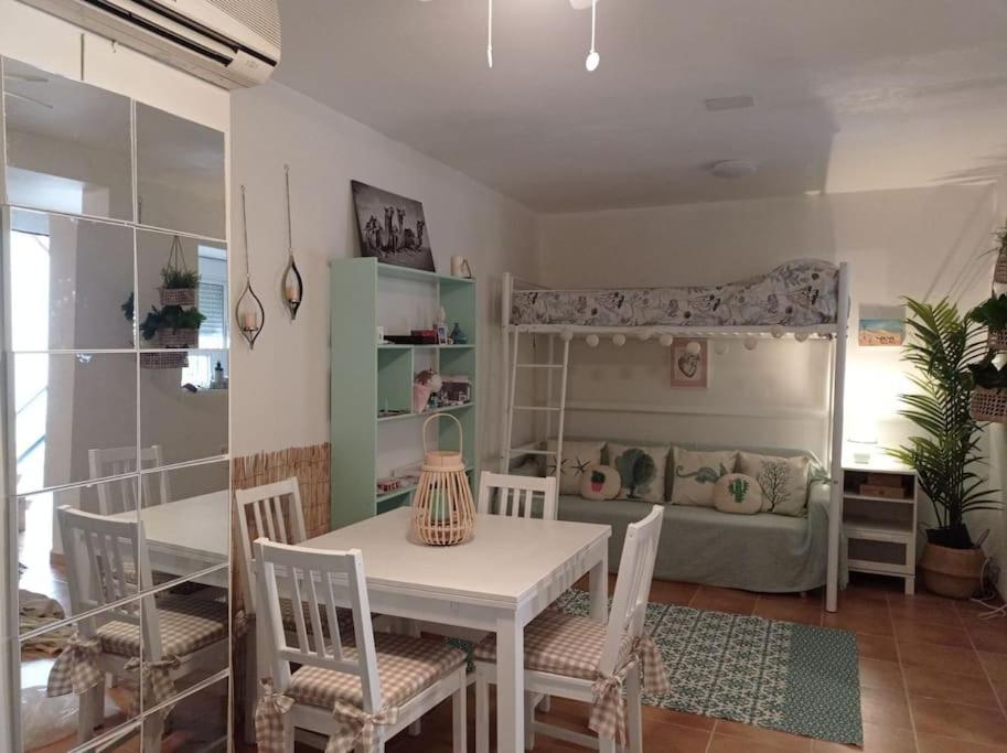 Apartamento Precioso Loft En El Centro De Cordoba. *