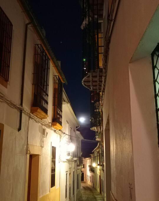 Apartamento Precioso Loft En El Centro De Cordoba. Córdoba