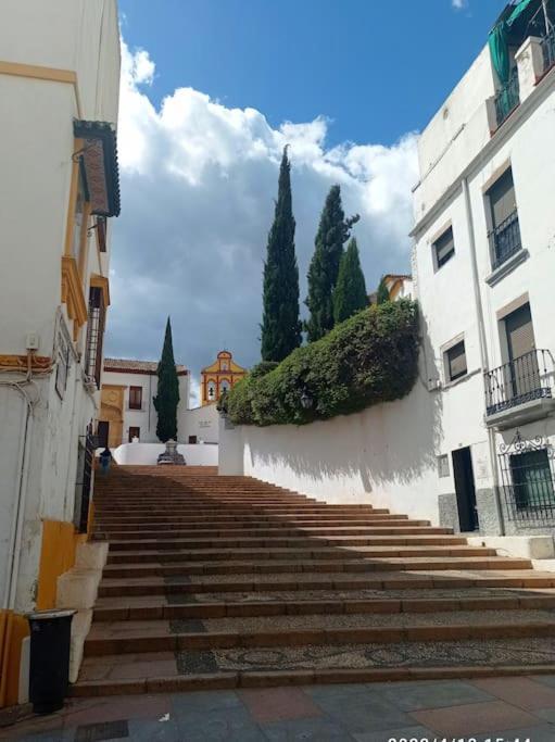 Precioso Loft En El Centro De Cordoba. *