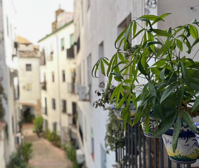 Apartamento Kenza