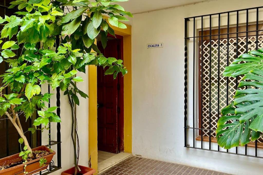 Apartamento Kenza