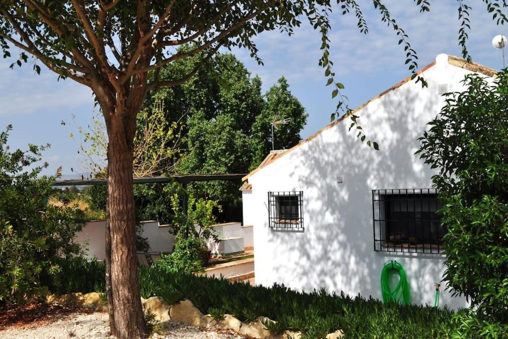 Holiday home La Linana *