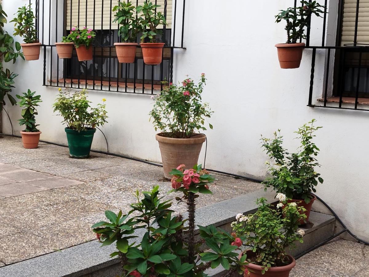 El Balcon De San Pablo