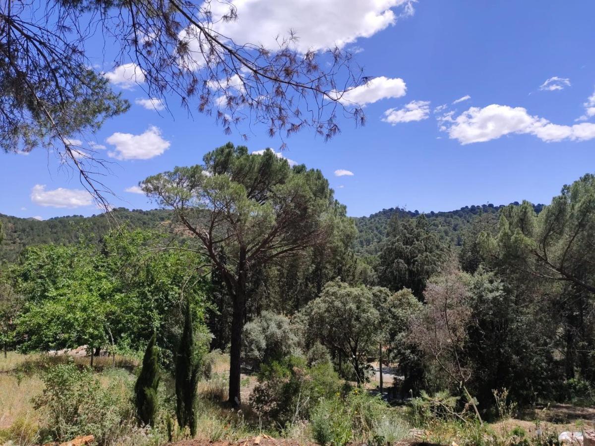 Bonita Casa Blanca En El Bosque. *