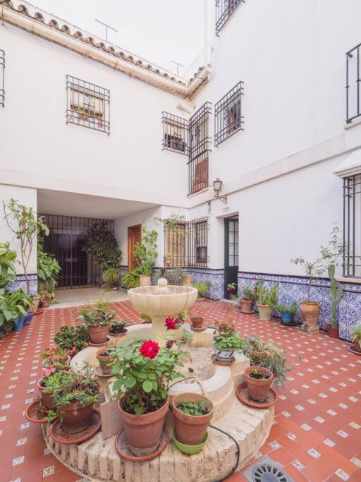 Mezquita Premium * Córdoba