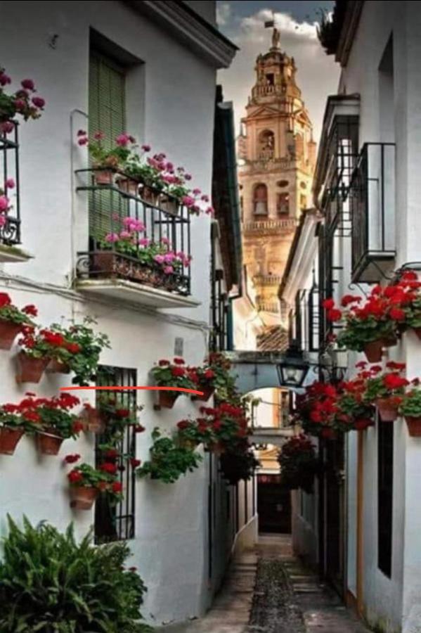 La Magdalena