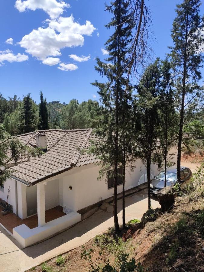 Bonita Casa Blanca En El Bosque. *