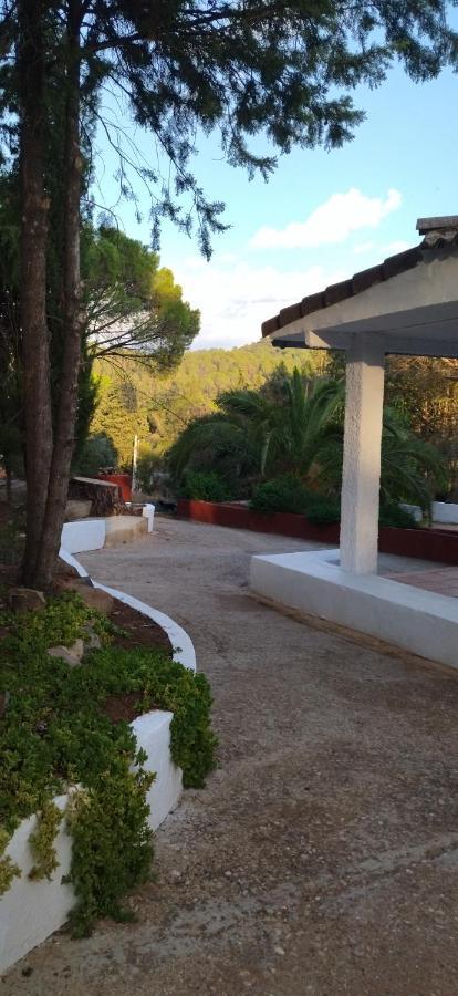 Bonita Casa Blanca En El Bosque. *