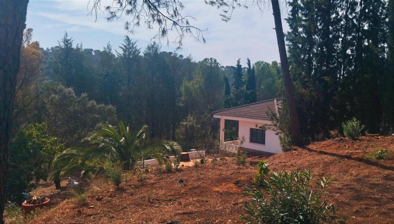 Chalet Bonita Casa Blanca En El Bosque. *