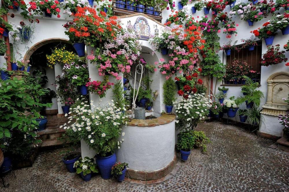 Puerta De Cordoba- Exterior Con Balcones *