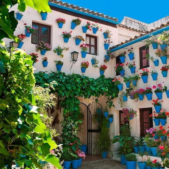 Apartment Cordvba Osario Centro
