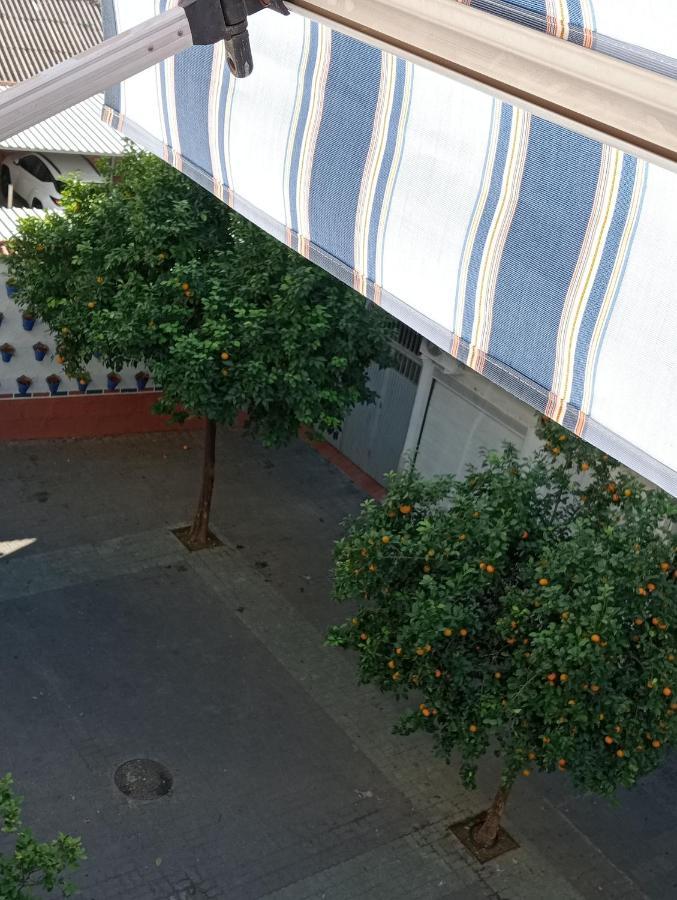 Apartamento La Paloma