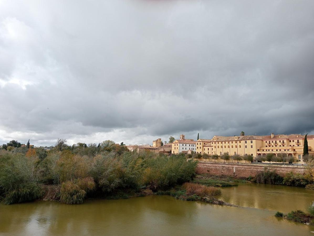Apartamento La Paloma