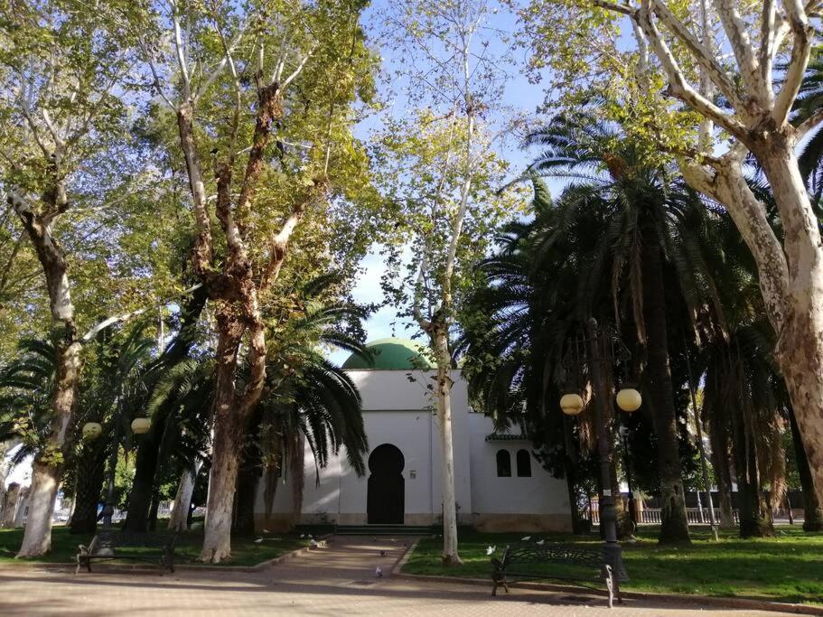 Apartment Trotamundos, Nuevo En El Centro