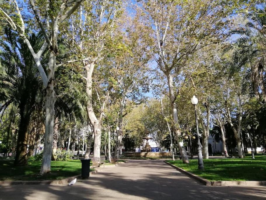 Apartment Trotamundos, Nuevo En El Centro