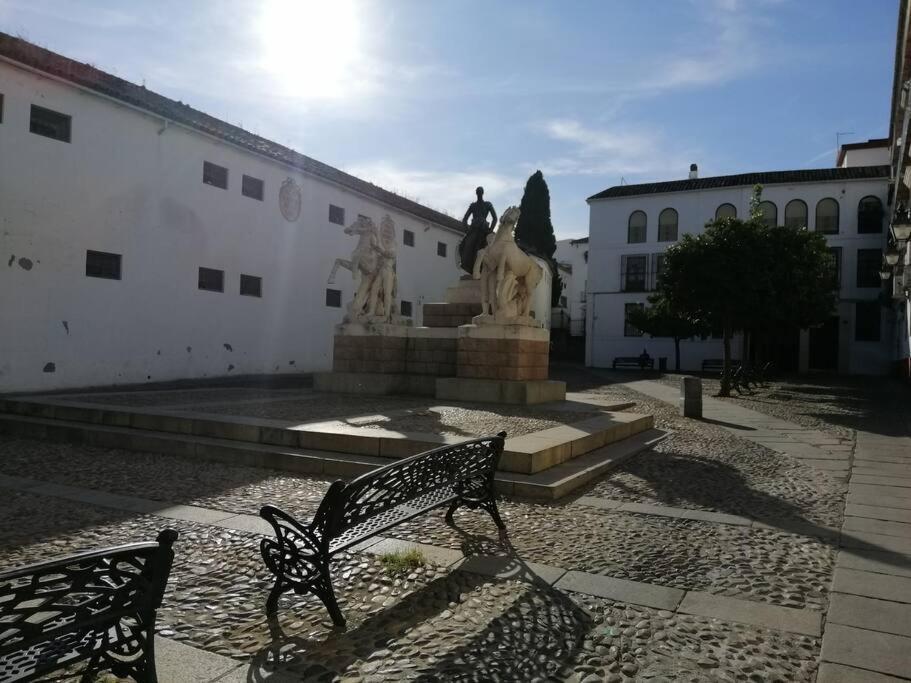 Trotamundos, Nuevo En El Centro *